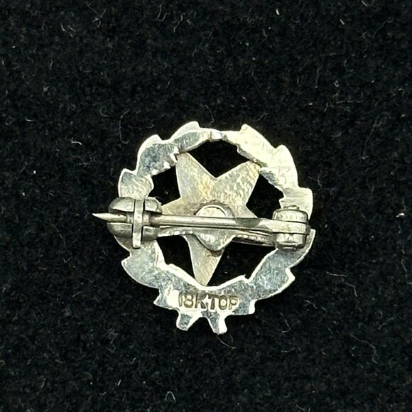 MASONIC 18K white gold Order of the Eastern Star brooch - .5" laurel wreath pin - Picture 4 of 4